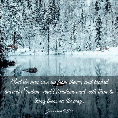Picture 03 - Genesis 18:16 ASV - And the men rose up from thence, and looked - Bible Verse Picture