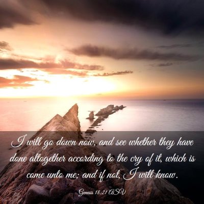 Picture 03 - Genesis 18:21 ASV - I will go down now, and see whether they have - Bible Verse Picture