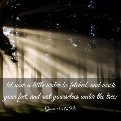 Picture 03 - Genesis 18:4 ASV - let now a little water be fetched, and wash your - Bible Verse Picture