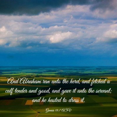 Picture 03 - Genesis 18:7 ASV - And Abraham ran unto the herd, and fetched a calf - Bible Verse Picture