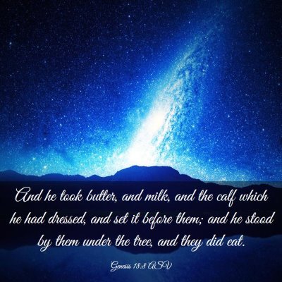 Picture 03 - Genesis 18:8 ASV - And he took butter, and milk, and the calf which - Bible Verse Picture