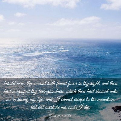 Picture 03 - Genesis 19:19 ASV - behold now, thy servant hath found favor in thy - Bible Verse Picture