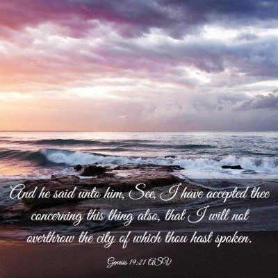 Picture 03 - Genesis 19:21 ASV - And he said unto him, See, I have accepted thee - Bible Verse Picture