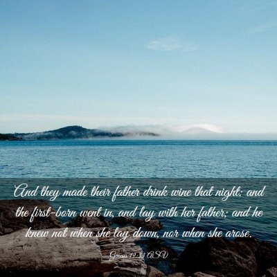 Picture 03 - Genesis 19:33 ASV - And they made their father drink wine that night: - Bible Verse Picture