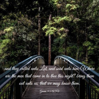 Picture 03 - Genesis 19:5 ASV - and they called unto Lot, and said unto him, - Bible Verse Picture
