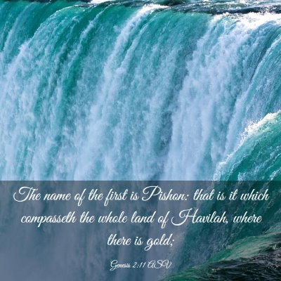 Picture 03 - Genesis 2:11 ASV - The name of the first is Pishon: that is it which - Bible Verse Picture