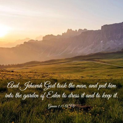 Picture 03 - Genesis 2:15 ASV - And Jehovah God took the man, and put him into - Bible Verse Picture