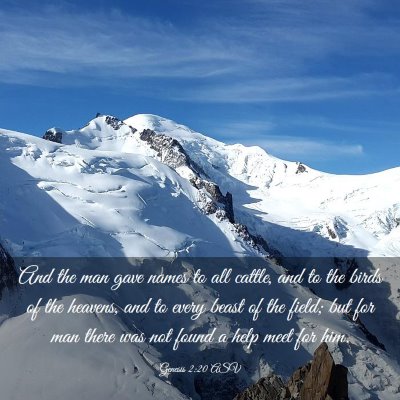 Picture 03 - Genesis 2:20 ASV - And the man gave names to all cattle, and to the - Bible Verse Picture