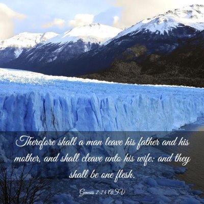Picture 03 - Genesis 2:24 ASV - Therefore shall a man leave his father and his - Bible Verse Picture