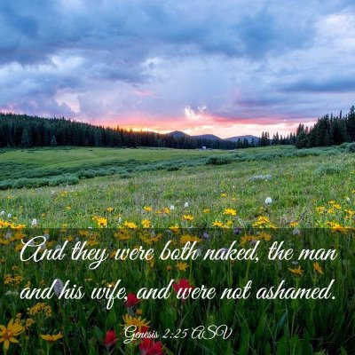 Picture 03 - Genesis 2:25 ASV - And they were both naked, the man and his wife, - Bible Verse Picture