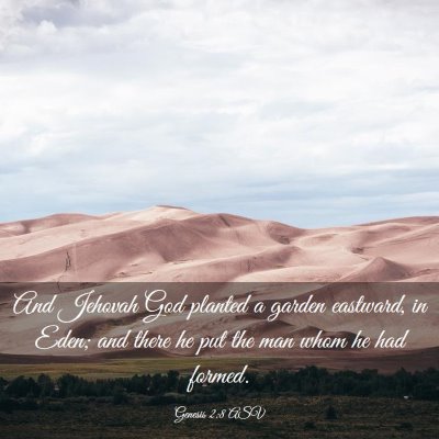 Picture 03 - Genesis 2:8 ASV - And Jehovah God planted a garden eastward, in - Bible Verse Picture