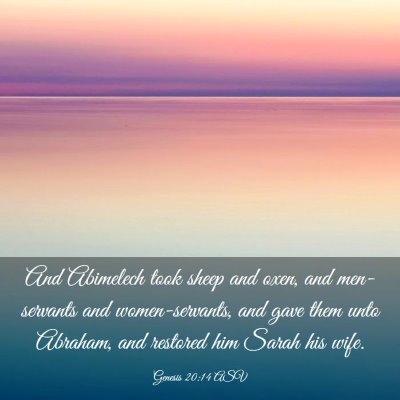 Picture 03 - Genesis 20:14 ASV - And Abimelech took sheep and oxen, and - Bible Verse Picture