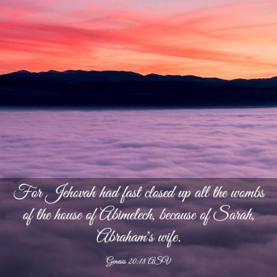 Picture 03 - Genesis 20:18 ASV - For Jehovah had fast closed up all the wombs of - Bible Verse Picture