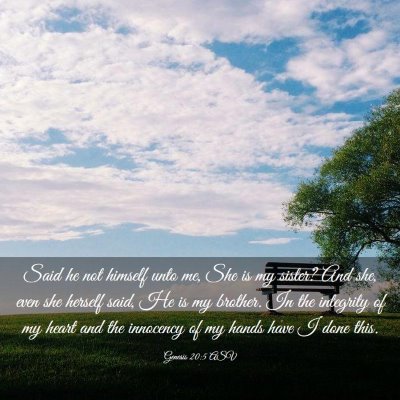 Picture 03 - Genesis 20:5 ASV - Said he not himself unto me, She is my sister? - Bible Verse Picture