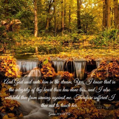 Picture 03 - Genesis 20:6 ASV - And God said unto him in the dream, Yea, I know - Bible Verse Picture
