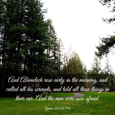 Picture 03 - Genesis 20:8 ASV - And Abimelech rose early in the morning, and - Bible Verse Picture
