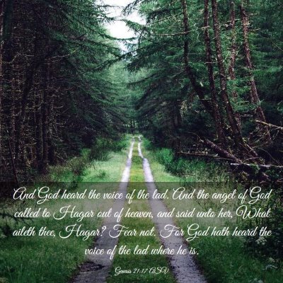 Picture 03 - Genesis 21:17 ASV - And God heard the voice of the lad. And the angel - Bible Verse Picture