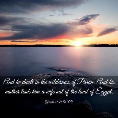 Picture 03 - Genesis 21:21 ASV - And he dwelt in the wilderness of Paran. And his - Bible Verse Picture