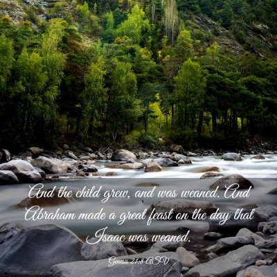 Picture 03 - Genesis 21:8 ASV - And the child grew, and was weaned. And Abraham - Bible Verse Picture