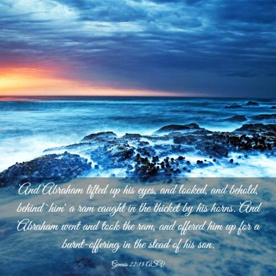 Picture 03 - Genesis 22:13 ASV - And Abraham lifted up his eyes, and looked, and - Bible Verse Picture