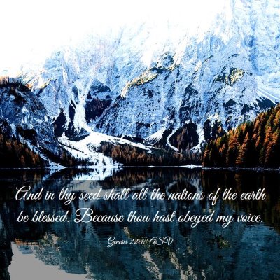 Picture 03 - Genesis 22:18 ASV - And in thy seed shall all the nations of the - Bible Verse Picture