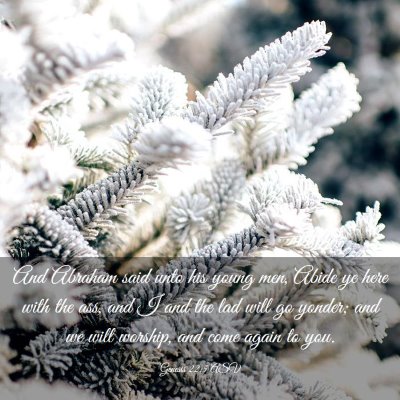 Picture 03 - Genesis 22:5 ASV - And Abraham said unto his young men, Abide ye - Bible Verse Picture