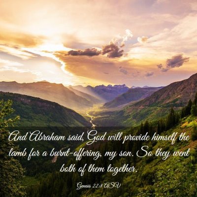 Picture 03 - Genesis 22:8 ASV - And Abraham said, God will provide himself the - Bible Verse Picture