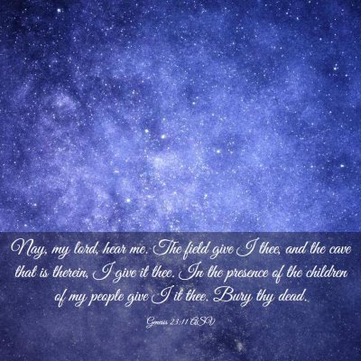 Picture 03 - Genesis 23:11 ASV - Nay, my lord, hear me. The field give I thee, and - Bible Verse Picture