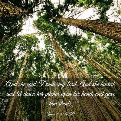 Picture 03 - Genesis 24:18 ASV - And she said, Drink, my lord. And she hasted, and - Bible Verse Picture