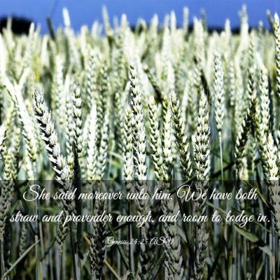 Picture 03 - Genesis 24:25 ASV - She said moreover unto him, We have both straw - Bible Verse Picture