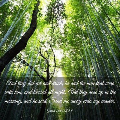 Picture 03 - Genesis 24:54 ASV - And they did eat and drink, he and the men that - Bible Verse Picture