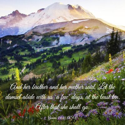 Picture 03 - Genesis 24:55 ASV - And her brother and her mother said, Let the - Bible Verse Picture