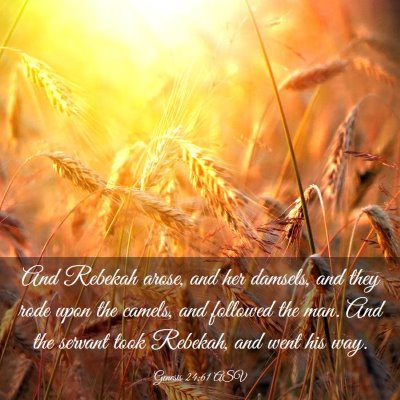 Picture 03 - Genesis 24:61 ASV - And Rebekah arose, and her damsels, and they rode - Bible Verse Picture
