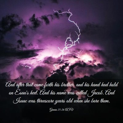 Picture 03 - Genesis 25:26 ASV - And after that came forth his brother, and his - Bible Verse Picture