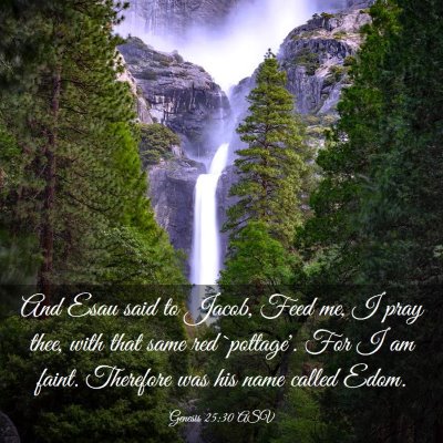 Picture 03 - Genesis 25:30 ASV - And Esau said to Jacob, Feed me, I pray thee, - Bible Verse Picture