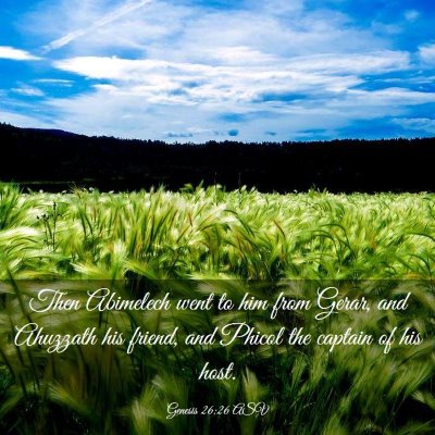 Picture 03 - Genesis 26:26 ASV - Then Abimelech went to him from Gerar, and - Bible Verse Picture