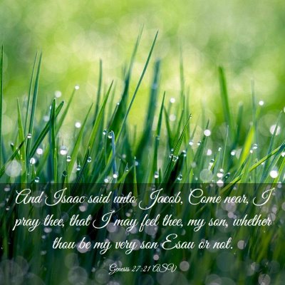 Picture 03 - Genesis 27:21 ASV - And Isaac said unto Jacob, Come near, I pray - Bible Verse Picture
