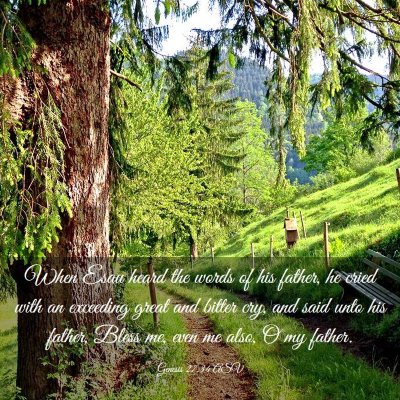 Picture 03 - Genesis 27:34 ASV - When Esau heard the words of his father, he cried - Bible Verse Picture