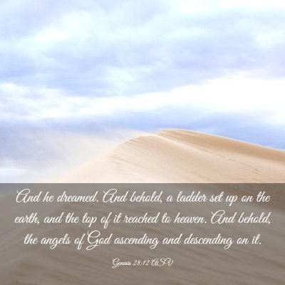 Picture 03 - Genesis 28:12 ASV - And he dreamed. And behold, a ladder set up on - Bible Verse Picture
