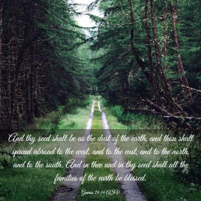 Picture 03 - Genesis 28:14 ASV - And thy seed shall be as the dust of the earth, - Bible Verse Picture