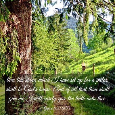 Picture 03 - Genesis 28:22 ASV - then this stone, which I have set up for a - Bible Verse Picture