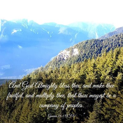 Picture 03 - Genesis 28:3 ASV - And God Almighty bless thee, and make thee - Bible Verse Picture
