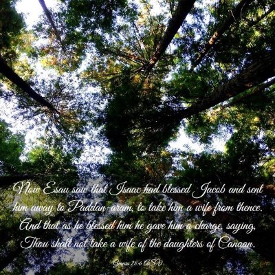 Picture 03 - Genesis 28:6 ASV - Now Esau saw that Isaac had blessed Jacob and - Bible Verse Picture