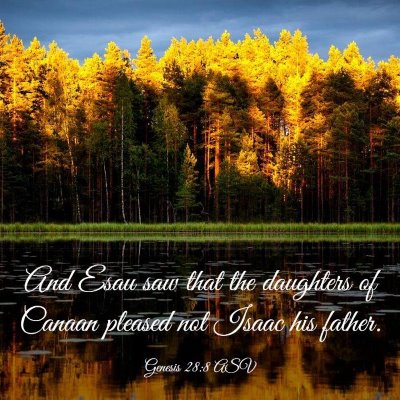 Picture 03 - Genesis 28:8 ASV - And Esau saw that the daughters of Canaan pleased - Bible Verse Picture