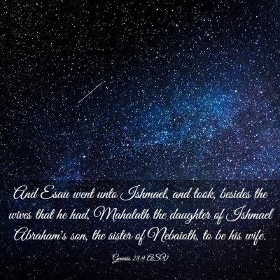Picture 03 - Genesis 28:9 ASV - And Esau went unto Ishmael, and took, besides the - Bible Verse Picture