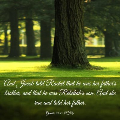 Picture 03 - Genesis 29:12 ASV - And Jacob told Rachel that he was her father's - Bible Verse Picture