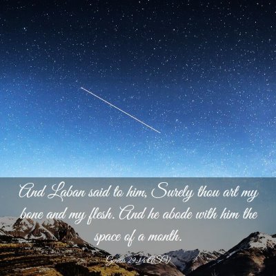 Picture 03 - Genesis 29:14 ASV - And Laban said to him, Surely thou art my bone - Bible Verse Picture