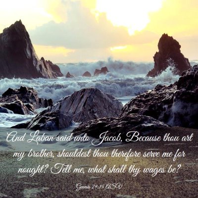 Picture 03 - Genesis 29:15 ASV - And Laban said unto Jacob, Because thou art my - Bible Verse Picture