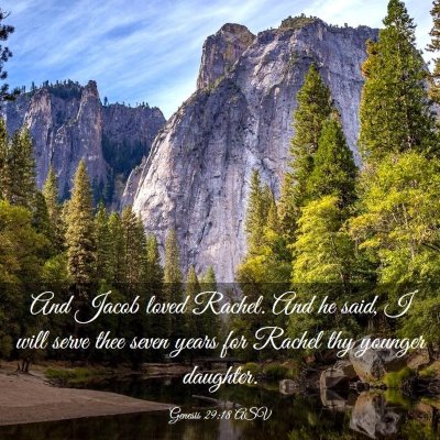 Picture 03 - Genesis 29:18 ASV - And Jacob loved Rachel. And he said, I will serve - Bible Verse Picture