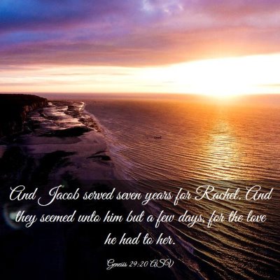 Picture 03 - Genesis 29:20 ASV - And Jacob served seven years for Rachel. And they - Bible Verse Picture